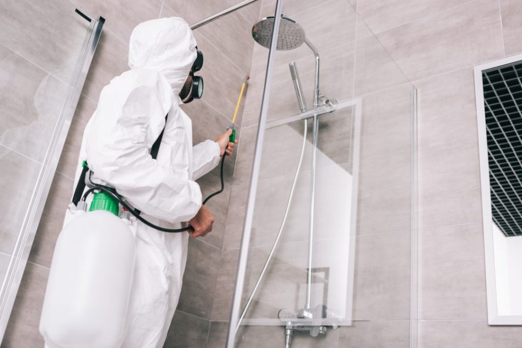 glasgow pest control, Domestic Services