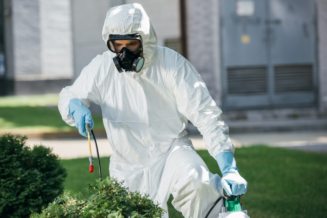 glasgow pest control