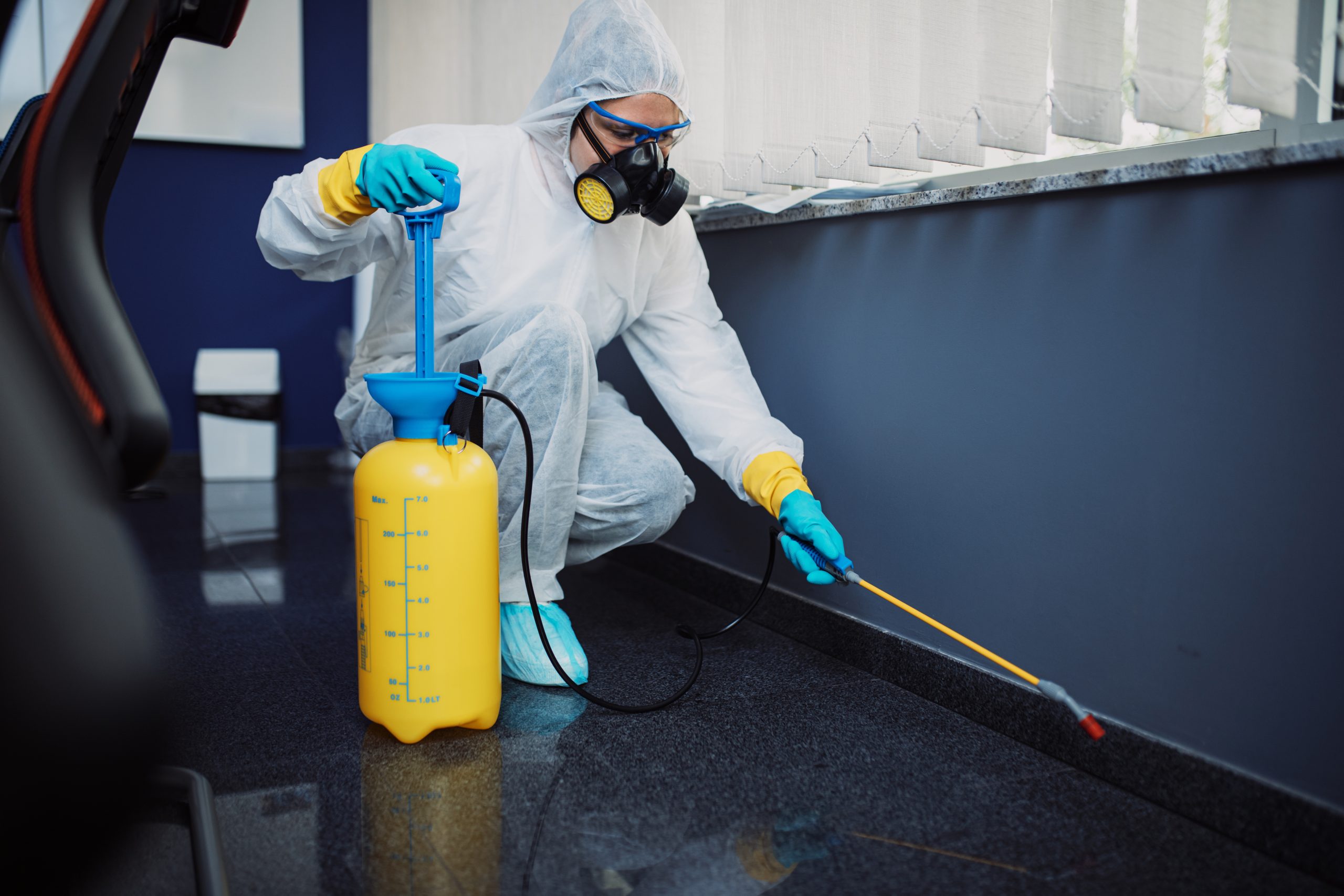 Commercial Services, glasgow pest control